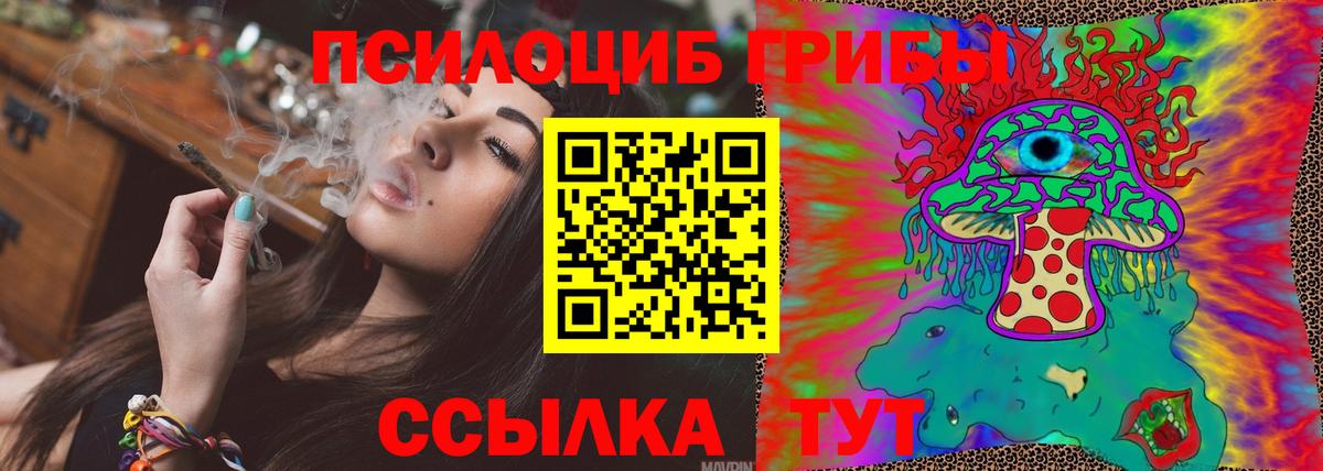 Галлюциногенные грибы MAGIC MUSHROOMS  купить  цена  Протвино  Вход с VPN 